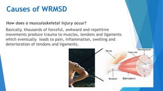Causes of WRMSD
How does a musculoskeletal injury occur?
Basically, thousands of forceful, awkward and repetitive
movements produce trauma to muscles, tendons and ligaments
which eventually leads to pain, inflammation, swelling and
deterioration of tendons and ligaments.
 