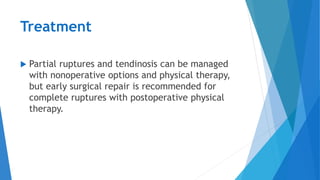 Treatment
 Partial ruptures and tendinosis can be managed
with nonoperative options and physical therapy,
but early surgical repair is recommended for
complete ruptures with postoperative physical
therapy.
 