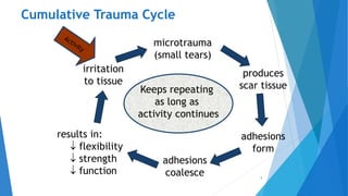 Cumulative Trauma Cycle
5
irritation
to tissue
microtrauma
(small tears)
produces
scar tissueKeeps repeating
as long as
activity continues
results in:
 flexibility
 strength
 function
adhesions
form
adhesions
coalesce
 