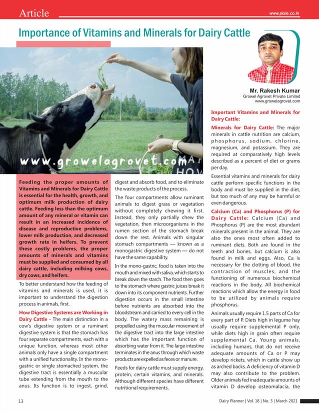 Importance of Vitamins and Minerals for Dairy Cattle , Published in