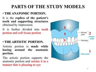 PARTS OF THE STUDY MODELS
• THE ANATOMIC PORTION.
It is the replica of the patient’s
teeth and supporting structures
obtained by impression.
It is further divided into tooth
portion and soft tissue portion
• THE ARTISTIC PORTION.
Artistic portion is made while
basing around the anatomic
portion.
The artistic portion supports the
anatomic portion and orients it in a
manner that is pleasing to eye
17
2
1
1
1
1
 