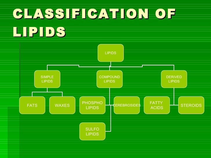 Dr ravi lipid profile