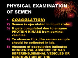 PHYSICAL EXAMINATION OF SEMEN COAGULATION: Semen is ejaculated in liquid state. It gets coagulated due to enzyme PROTEIN KINASE from seminal vesicles. To observe this ,the semen sample should be collected in lab. Absence of coagulation indicates CONGENITAL ABSENCE OF VAS DEFERENS,SEMINAL VESICLES OR  OBSTRUCTION OF THE EJACULATORY DUCT 