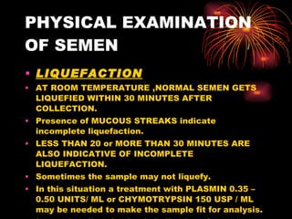 PHYSICAL EXAMINATION OF SEMEN LIQUEFACTION AT ROOM TEMPERATURE ,NORMAL SEMEN GETS LIQUEFIED WITHIN 30 MINUTES AFTER COLLECTION. Presence of MUCOUS STREAKS indicate incomplete liquefaction. LESS THAN 20 or MORE THAN 30 MINUTES ARE ALSO INDICATIVE OF INCOMPLETE LIQUEFACTION. Sometimes the sample may not liquefy. In this situation a treatment with PLASMIN 0.35 – 0.50 UNITS/ ML or CHYMOTRYPSIN 150 USP / ML may be needed to make the sample fit for analysis. Incomplete liquefaction is indicative of dysfunctional accessory reproductive organs like prostate which leads to decreased production of prostatic enzymes. 