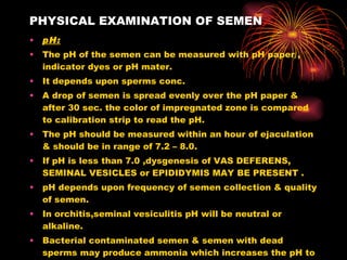 PHYSICAL EXAMINATION OF SEMEN pH: The pH of the semen can be measured with pH paper , indicator dyes or pH mater. It depends upon sperms conc. A drop of semen is spread evenly over the pH paper & after 30 sec. the color of impregnated zone is compared to calibration strip to read the pH. The pH should be measured within an hour of ejaculation & should be in range of 7.2 – 8.0. If pH is less than 7.0 ,dysgenesis of VAS DEFERENS, SEMINAL VESICLES or EPIDIDYMIS MAY BE PRESENT . pH depends upon frequency of semen collection & quality of semen. In orchitis,seminal vesiculitis pH will be neutral or alkaline. Bacterial contaminated semen & semen with dead sperms may produce ammonia which increases the pH to make it alkaline. 