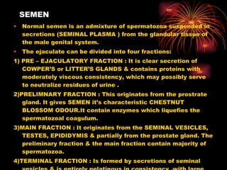 SEMEN Normal semen is an admixture of spermatozoa suspended in secretions (SEMINAL PLASMA ) from the glandular tissue of the male genital system. The ejaculate can be divided into four fractions: 1) PRE – EJACULATORY FRACTION : It is clear secretion of COWPER’S or LITTER’S GLANDS & contains proteins with moderately viscous consistency, which may possibly serve to neutralize residues of urine . 2)PRELIMNARY FRACTION : This originates from the prostrate gland. It gives SEMEN it’s characteristic CHESTNUT BLOSSOM ODOUR.It contain enzymes which liquefies the spermatozoal coagulum. 3)MAIN FRACTION : It originates from the SEMINAL VESICLES, TESTES, EPIDIDYMIS & partially from the prostate gland. The preliminary fraction & the main fraction contain majority of spermatozoa. 4)TERMINAL FRACTION : Is formed by secretions of seminal vesicles & is entirely gelatinous in consistency ,with large no. of immotile spermatozoa. 