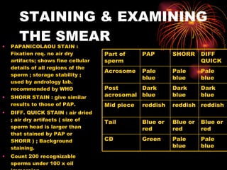 STAINING & EXAMINING THE SMEAR PAPANICOLAOU STAIN : Fixation req. no air dry artifacts; shows fine cellular details of all regions of the sperm ; storage stability ; used by andrology lab. recommended by WHO  SHORR STAIN : give similar results to those of PAP. DIFF. QUICK STAIN : air dried ; air dry artifacts ( size of sperm head is larger than that stained by PAP or SHORR ) ; Background staining. Count 200 recognizable sperms under 100 x oil immersion. Use OCULAR MICROMETER to measure the size of the head. Pale blue Pale blue Green  CD Blue or red Blue or red Blue or red Tail reddish reddish reddish Mid piece Dark blue Dark blue Dark blue Post acrosomal Pale blue Pale blue Pale blue Acrosome DIFF QUICK SHORR PAP Part of sperm 