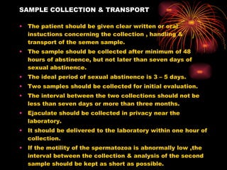 SAMPLE COLLECTION & TRANSPORT The patient should be given clear written or oral instuctions concerning the collection , handling & transport of the semen sample. The sample should be collected after minimum of 48 hours of abstinence, but not later than seven days of sexual abstinence. The ideal period of sexual abstinence is 3 – 5 days. Two samples should be collected for initial evaluation. The interval between the two collections should not be less than seven days or more than three months. Ejaculate should be collected in privacy near the laboratory. It should be delivered to the laboratory within one hour of collection. If the motility of the spermatozoa is abnormally low ,the interval between the collection & analysis of the second sample should be kept as short as possible. 