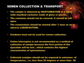 SEMEN COLLECTION & TRANSPORT The sample is obtained by MASTURBATION in a clean wide mouthed container made of glass or plastic. The container should not be covered. It should be left open. The examination should be started after ½ hour so as to observe LIQUEFACTION. Condoms must not be used for semen collection. Coitus interruptus is not recommended as a method of collection of sample because the first portion of the ejaculate will be lost , which contains the highest concentration of spermatozoa. Collected samples should not be exposed to extremes  of temperatures , i.e. less than 25 degrees or more than  40 degrees . 