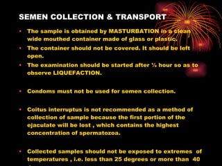 SEMEN COLLECTION & TRANSPORT <ul><li>The sample is obtained by MASTURBATION in a clean wide mouthed container made of glas...