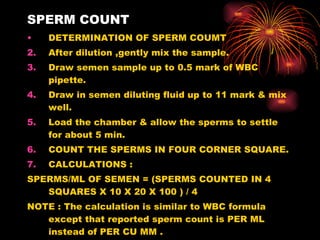 SPERM COUNT DETERMINATION OF SPERM COUMT After dilution ,gently mix the sample. Draw semen sample up to 0.5 mark of WBC pipette. Draw in semen diluting fluid up to 11 mark & mix well. Load the chamber & allow the sperms to settle for about 5 min. COUNT THE SPERMS IN FOUR CORNER SQUARE. CALCULATIONS :  SPERMS/ML OF SEMEN = (SPERMS COUNTED IN 4 SQUARES X 10 X 20 X 100 ) / 4 NOTE : The calculation is similar to WBC formula except that reported sperm count is PER ML instead of PER CU MM . 