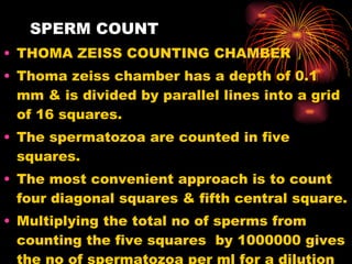 SPERM COUNT THOMA ZEISS COUNTING CHAMBER Thoma zeiss chamber has a depth of 0.1 mm & is divided by parallel lines into a grid of 16 squares. The spermatozoa are counted in five squares. The most convenient approach is to count four diagonal squares & fifth central square. Multiplying the total no of sperms from counting the five squares  by 1000000 gives the no of spermatozoa per ml for a dilution of 1 : 20 