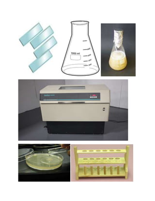Microbiology lab instruments | DOCX