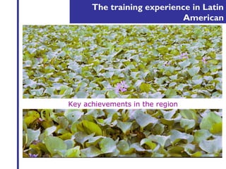 The training experience in Latin 
American 
Key achievements in the region 
 