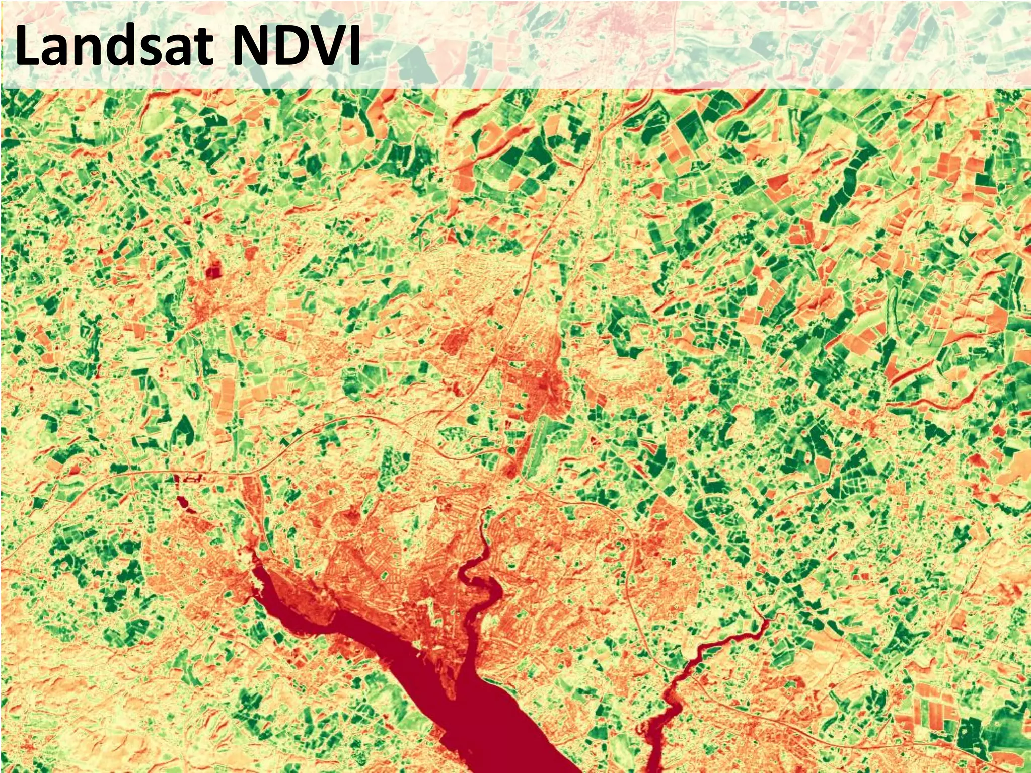 Landsat NDVI