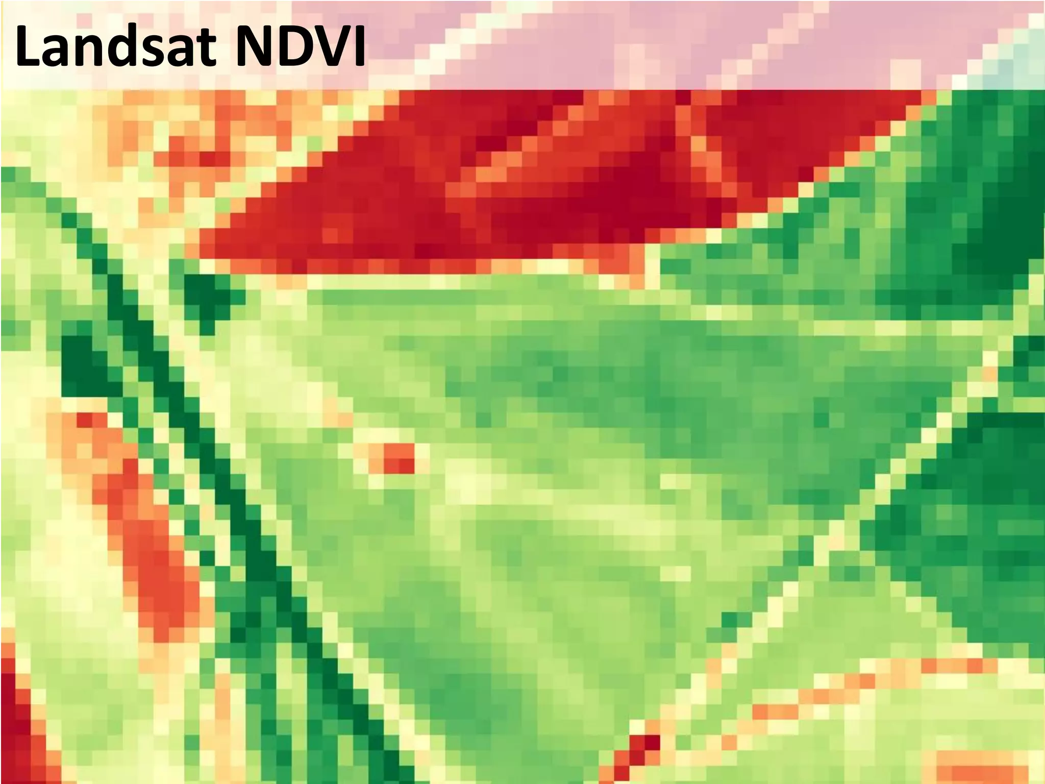 Landsat NDVI