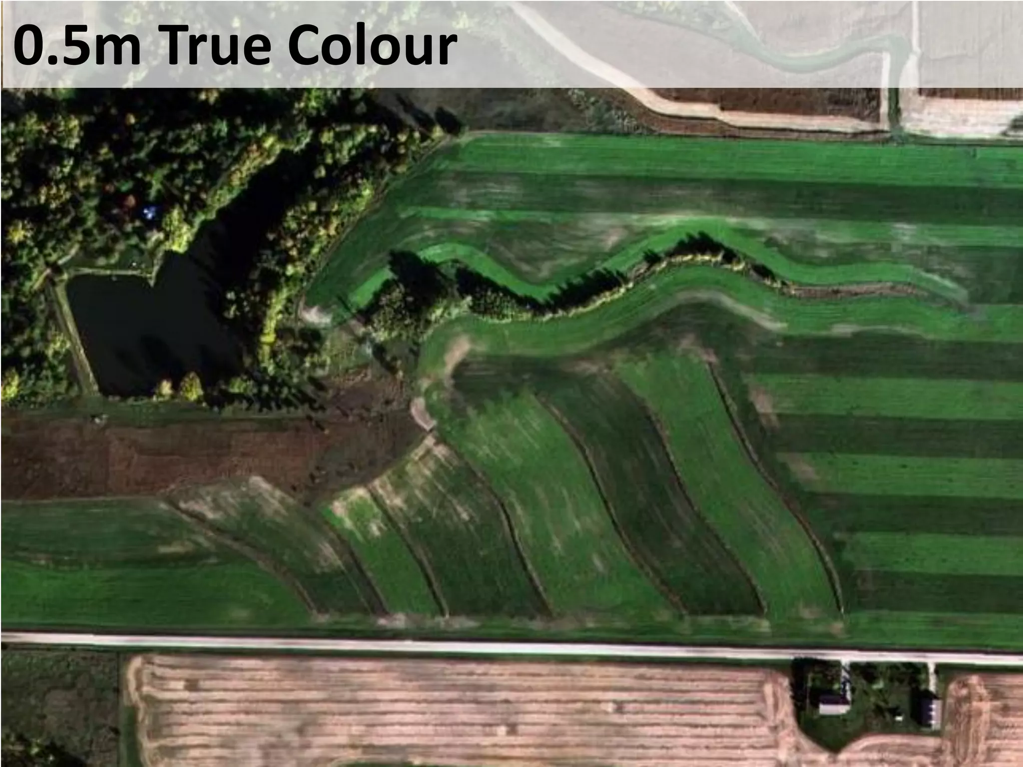 0.5m True Colour