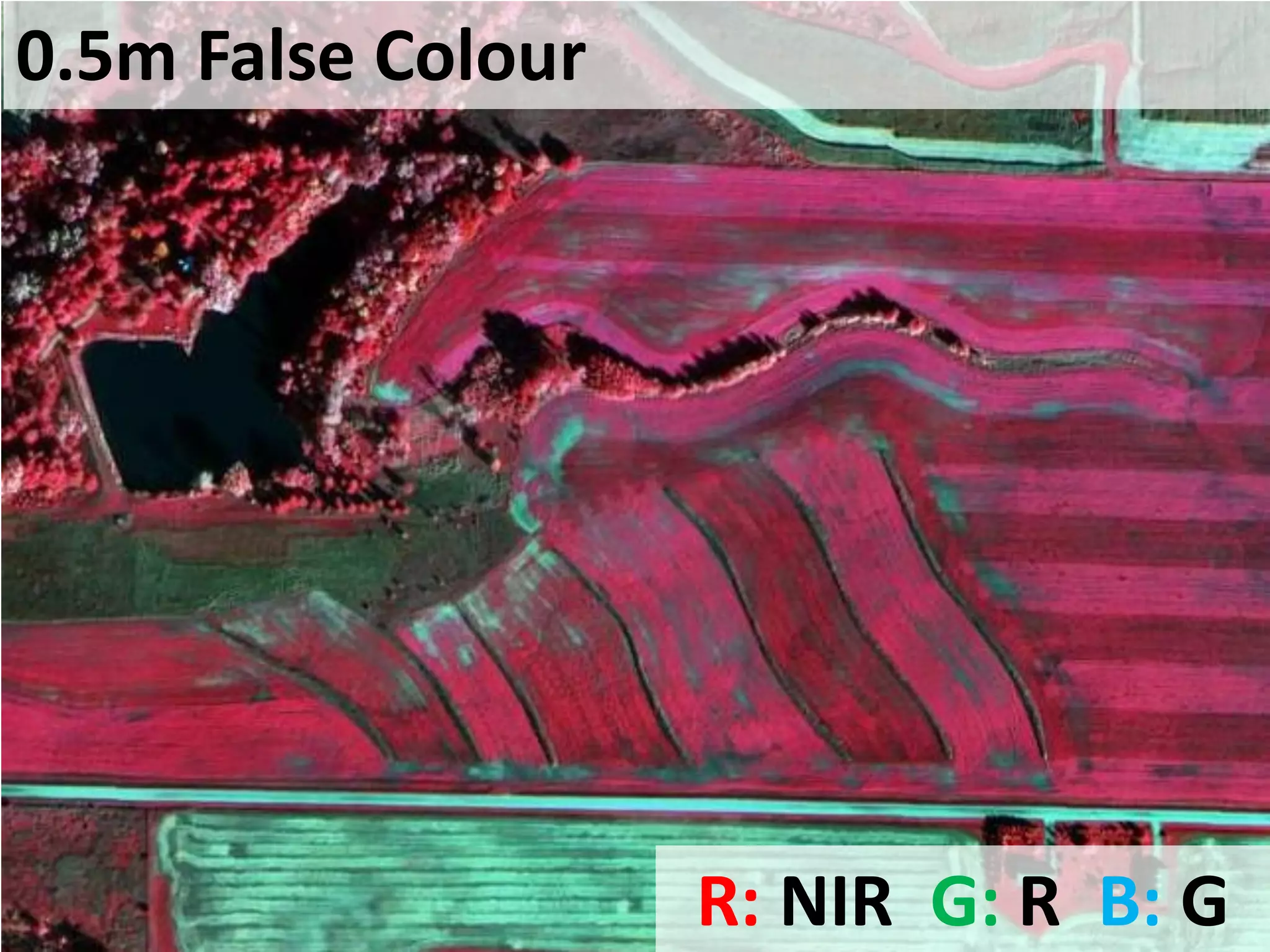 0.5m False Colour
R: NIR G: R B: G