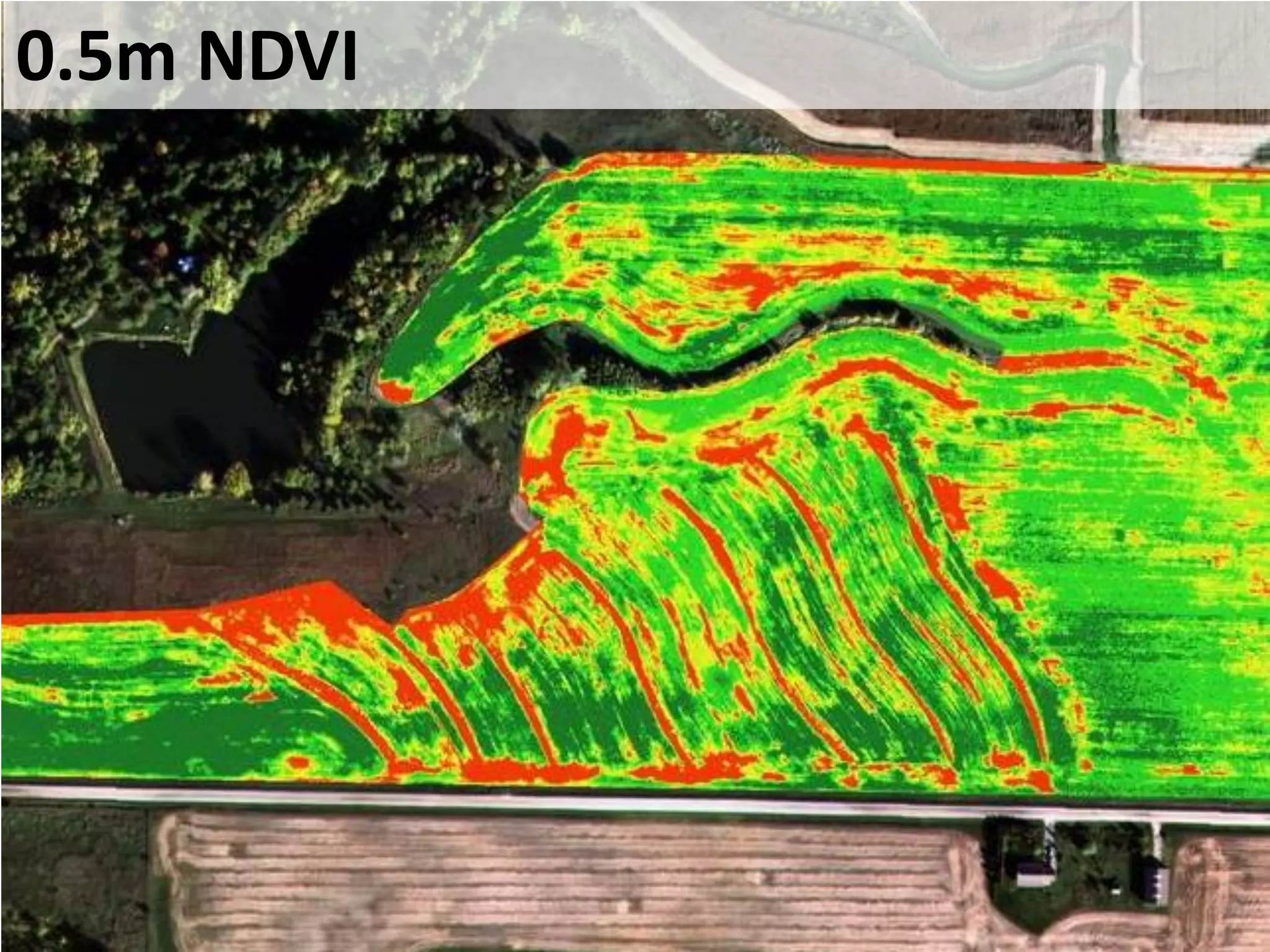 0.5m NDVI