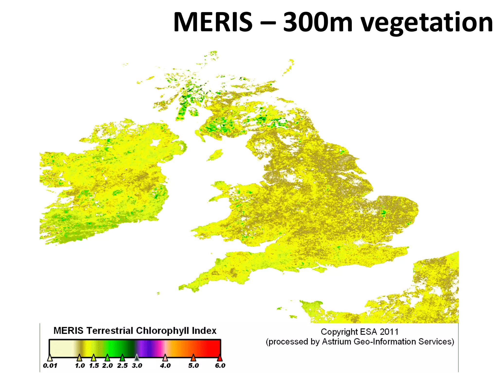 MERIS – 300m vegetation