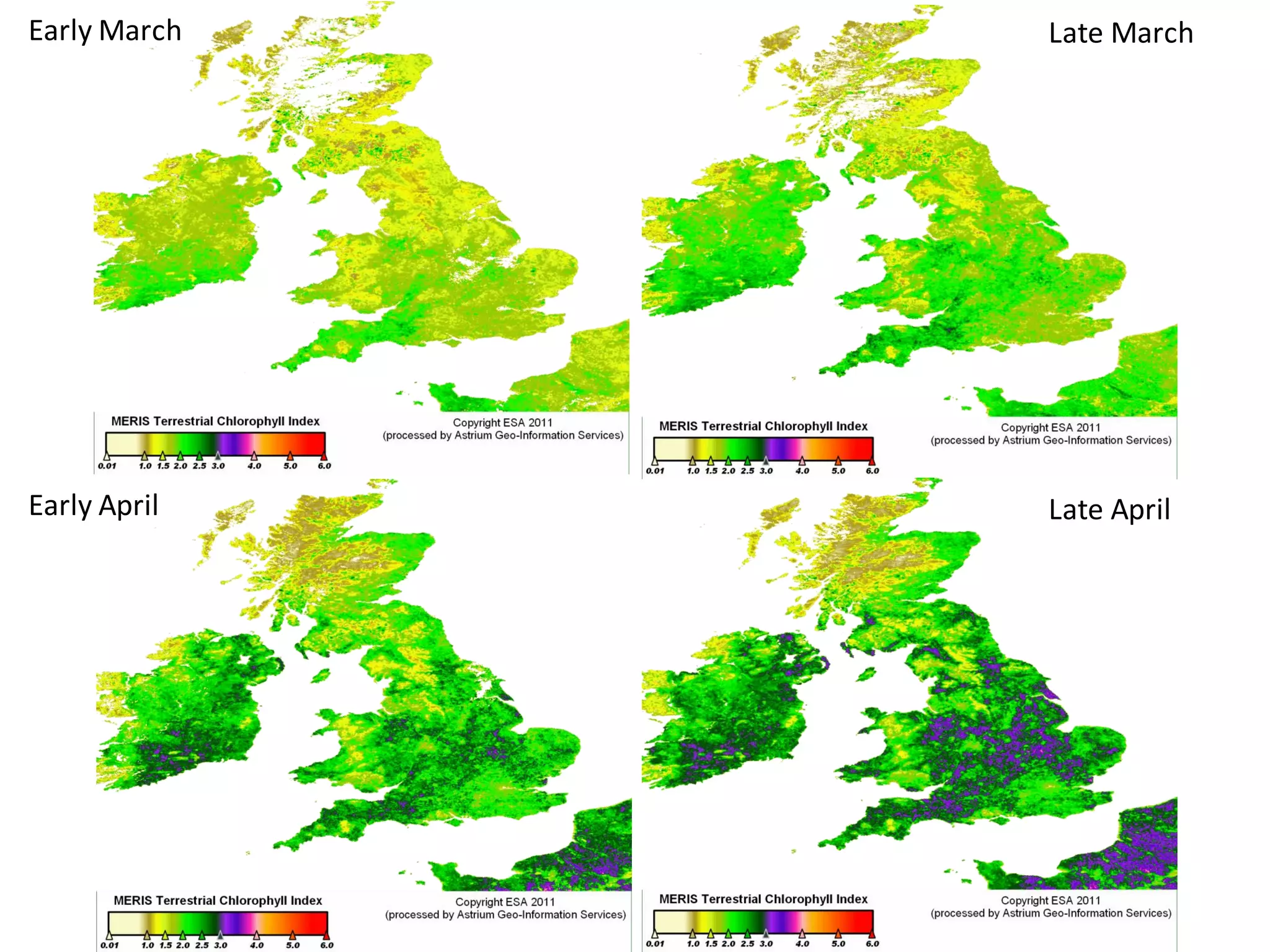 Early March Late March
Early April Late April