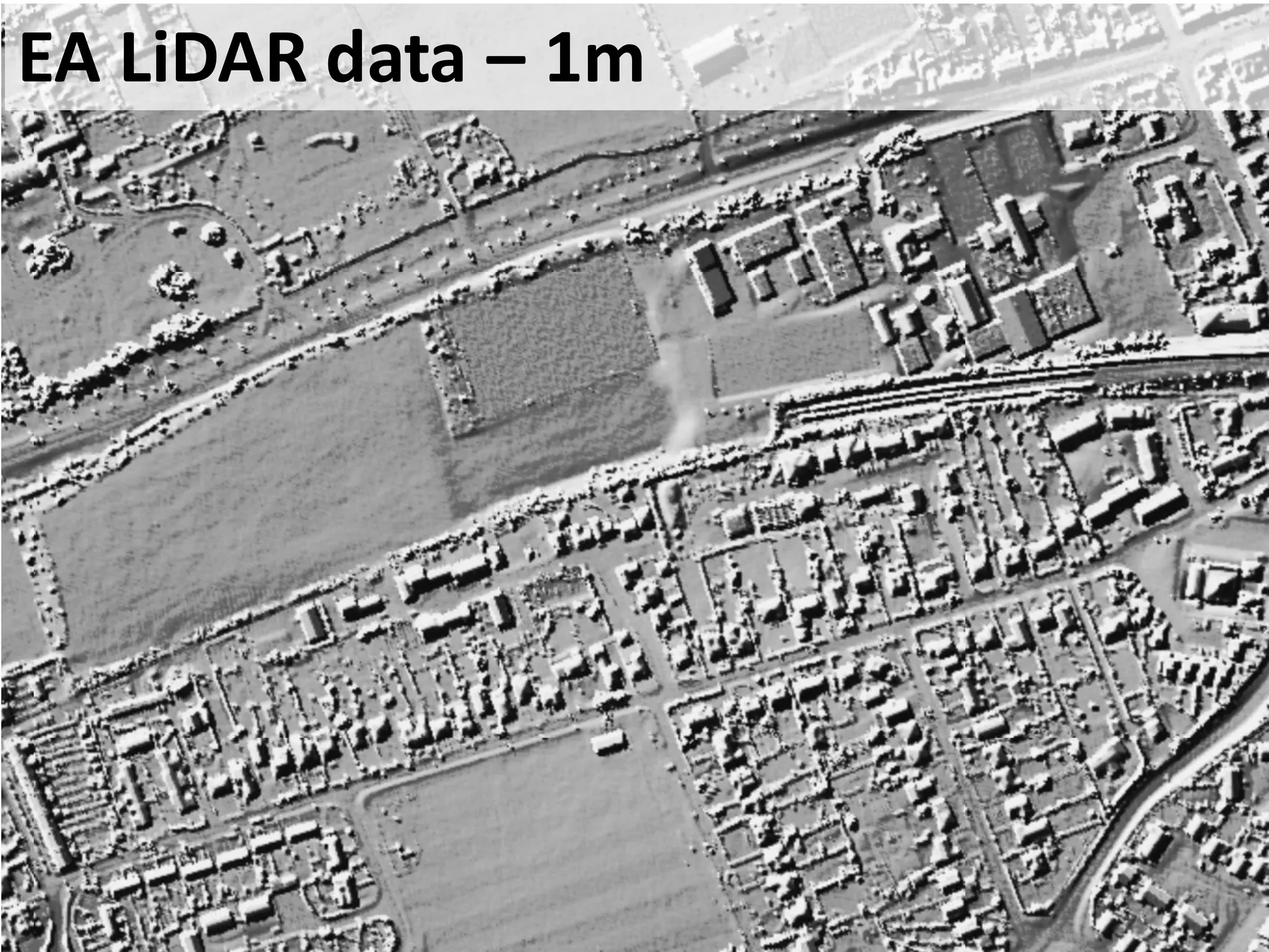 EA LiDAR data – 1m
