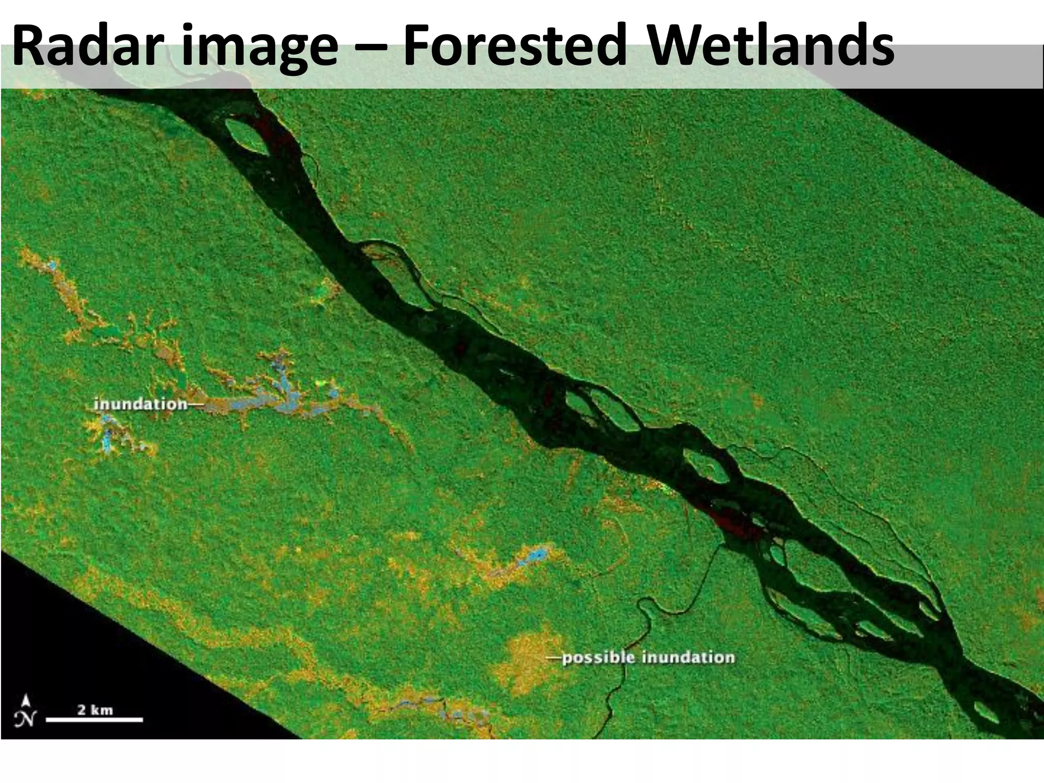 Radar image – Forested Wetlands
