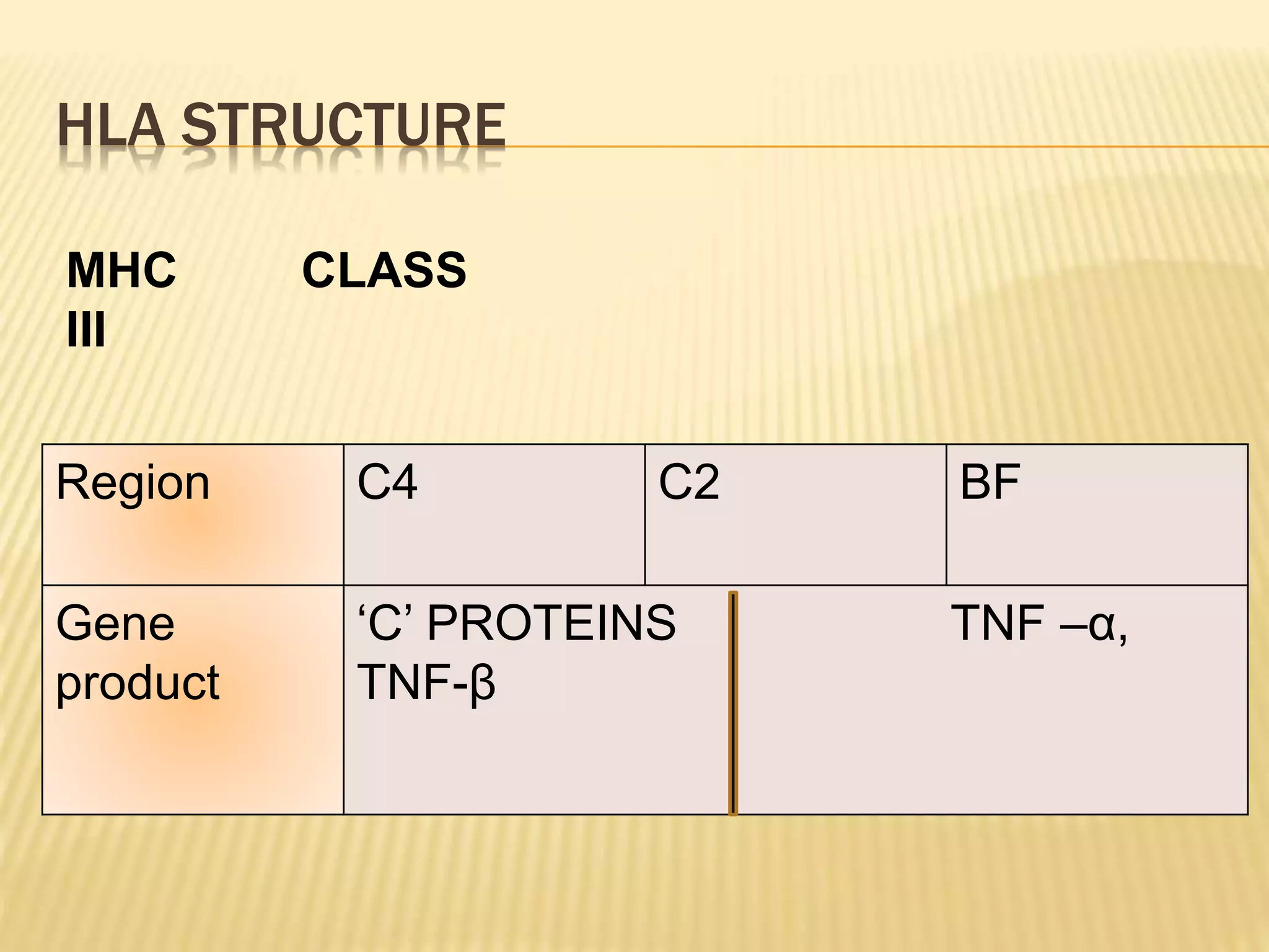 HLA STRUCTURE 
MHC CLASS 
III 
Region C4 C2 BF 
Gene 
product 
‘C’ PROTEINS TNF –α, 
TNF-β 
 