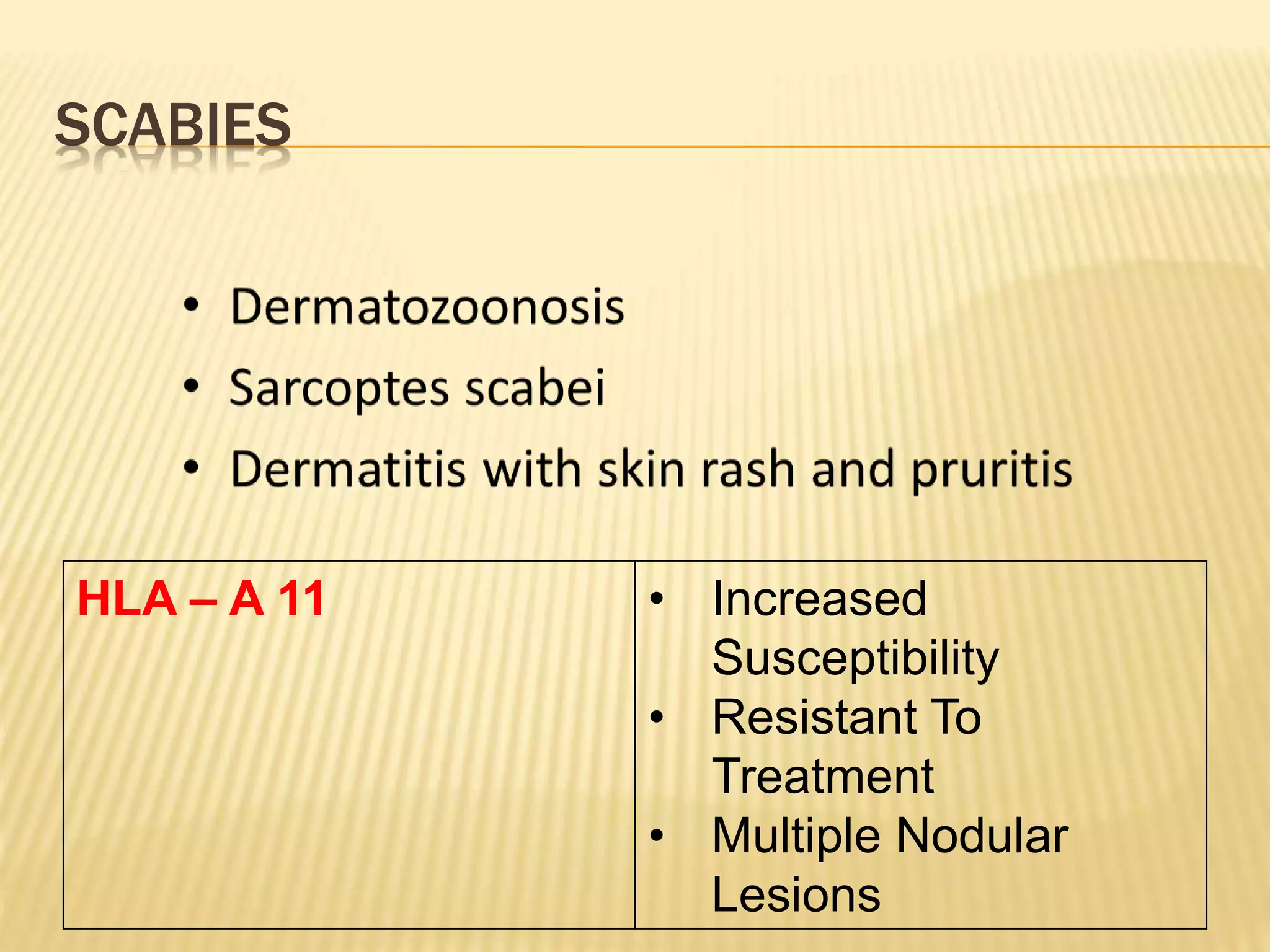 SCABIES 
HLA – A 11 • Increased 
Susceptibility 
• Resistant To 
Treatment 
• Multiple Nodular 
Lesions 
 