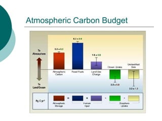 Atmospheric Carbon Budget 