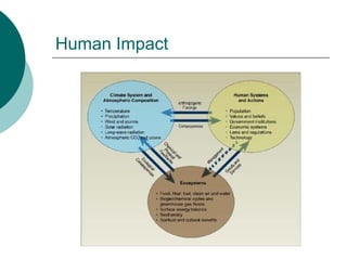 Human Impact 