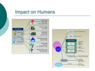 Impact on Humans 