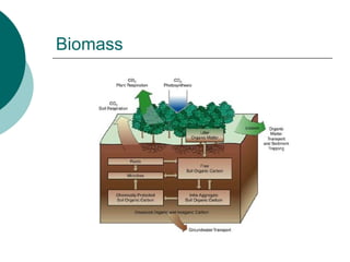 Biomass 