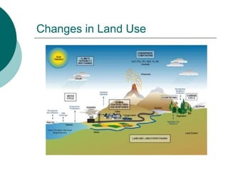 Changes in Land Use 