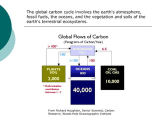 The global carbon cycle involves the earth's atmosphere, fossil fuels, the oceans, and the vegetation and soils of the earth's terrestrial ecosystems. From Richard Houghton, Senior Scientist, Carbon Research, Woods Hole Oceanographic Institute 