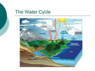 The Water Cycle 