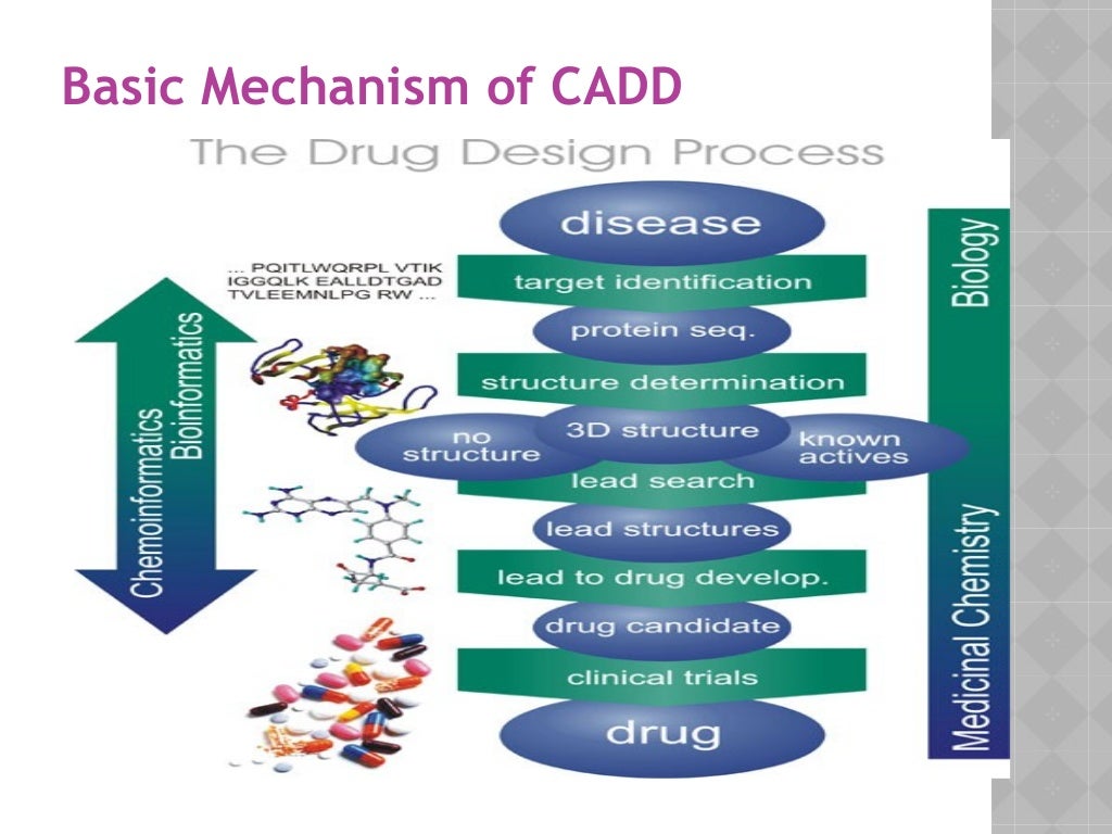 computer-aided-drug-designing