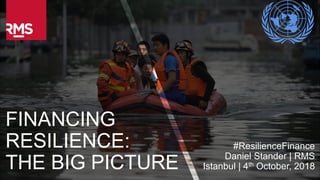 1Copyright © 2016 Risk Management Solutions, Inc. All Rights Reserved. October 4, 2018
FINANCING
RESILIENCE:
THE BIG PICTURE
#ResilienceFinance
Daniel Stander | RMS
Istanbul | 4th October, 2018
 