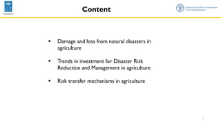 2
Content
▪ Damage and loss from natural disasters in
agriculture
▪ Trends in investment for Disaster Risk
Reduction and Management in agriculture
▪ Risk transfer mechanisms in agriculture
 