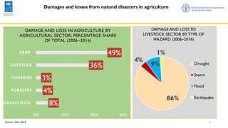 4
8%
4%
3%
36%
49%
0% 20% 40% 60%
UNSPECIFIED
FORESTRY
FISHERIES
LIVESTOCK
CROP
DAMAGE AND LOSS IN AGRICULTURE BY
AGRICULTURAL SECTOR, PERCENTAGE SHARE
OF TOTAL (2006–2016)
Source: FAO, 2018
86%
4%
9%
1%
DAMAGE AND LOSS TO
LIVESTOCK SECTOR BY TYPE OF
HAZARD (2006–2016)
Drought
Storm
Flood
Earthquake
Damages and losses from natural disasters in agriculture
 