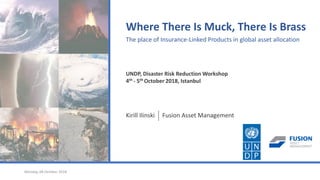 Monday, 08 October 2018
Where There Is Muck, There Is Brass
The place of Insurance-Linked Products in global asset allocation
UNDP, Disaster Risk Reduction Workshop
4th - 5th October 2018, Istanbul
Kirill Ilinski Fusion Asset Management
 