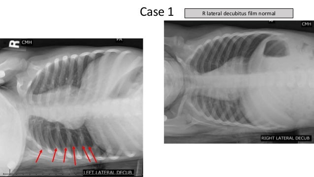 Drs Potter And Richardson S Cmc Pediatric X Ray Mastery Week 1