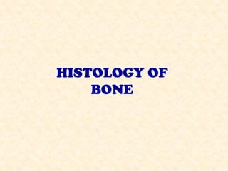 HISTOLOGY OF
BONE
 