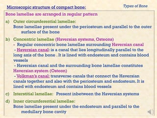 Parallel Medium Bone Dr Sahar_Galal_BONE 2020.pdf
