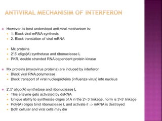  However its best understood anti-viral mechanism is:
 1. Block viral mRNA synthesis
 2. Block translation of viral mRNA
 Mx proteins
 2',5' oligo(A) synthetase and ribonuclease L
 PKR, double stranded RNA dependent protein kinase
 Mx proteins (myxovirus proteins) are induced by interferon
 Block viral RNA polymerase
 Block transport of viral nucleoproteins (influenza virus) into nucleus
 2',5' oligo(A) synthetase and ribonuclease L
 This enzyme gets activated by dsRNA
 Unique ability to synthesize oligos of A in the 2'- 5' linkage, norm is 3'-5' linkage
 Poly(A) oligos bind ribonuclease L and activate it  mRNA is destroyed
 Both cellular and viral cells may die
 
