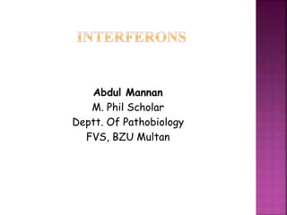 Abdul Mannan
M. Phil Scholar
Deptt. Of Pathobiology
FVS, BZU Multan
 
