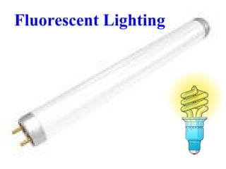 Fluorescent Lighting
 
