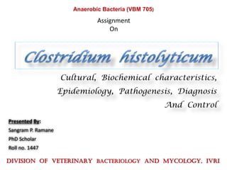 Cultural, Biochemical characteristics,
Epidemiology, Pathogenesis, Diagnosis
And Control
Presented By:
Sangram P. Ramane
PhD Scholar
Roll no. 1447
DIVISION OF VETERINARY BACTERIOLOGY AND MYCOLOGY, IVRI
Assignment
On
Anaerobic Bacteria (VBM 705)
 