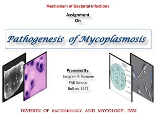 Presented By:
Sangram P. Ramane
PhD Scholar
Roll no. 1447
DIVISION OF BACTERIOLOGY AND MYCOLOGY, IVRI
Assignment
On
Mechanism of Bacterial Infections
 