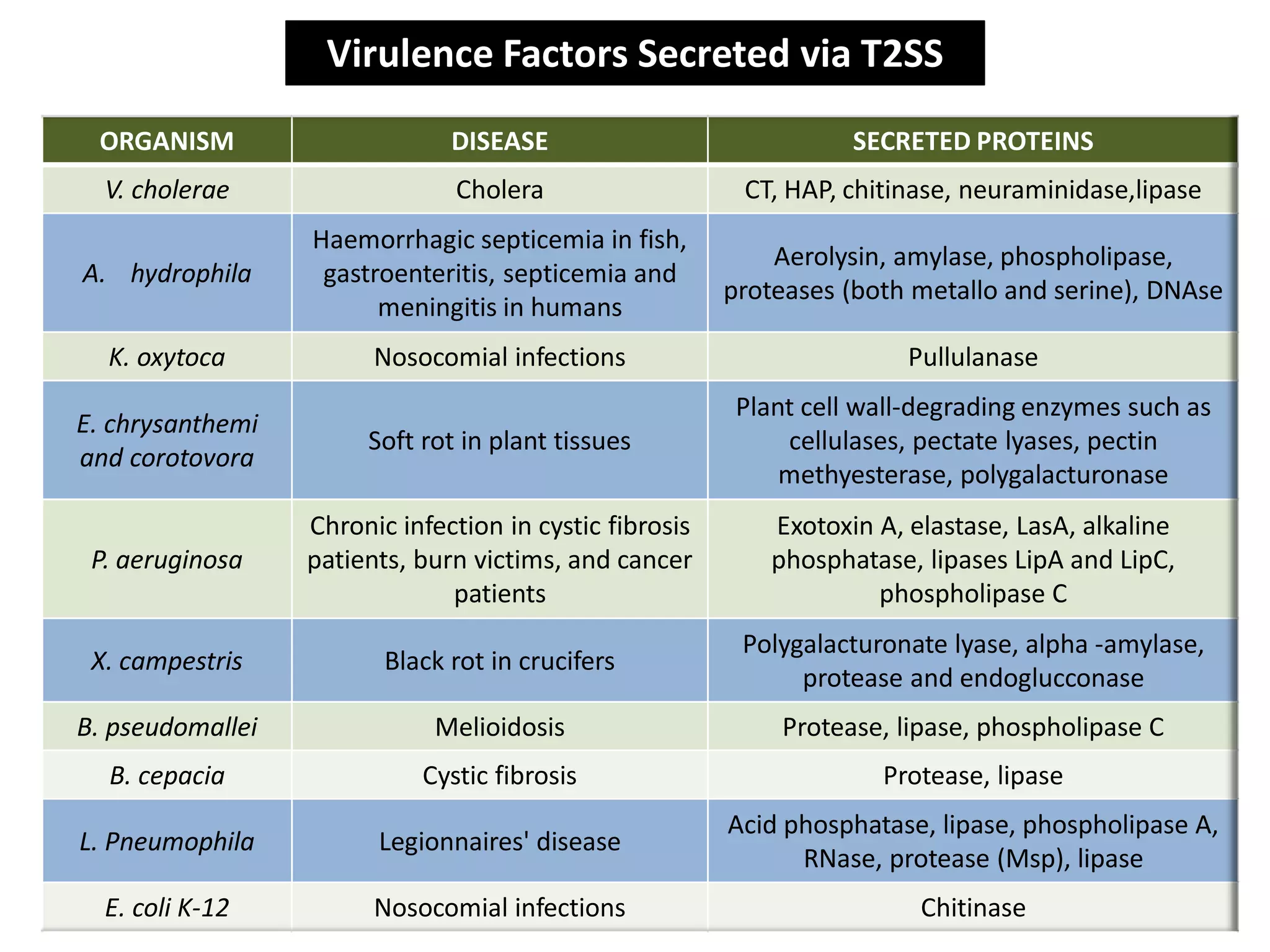 Secretion Systems of Bacteria | PDF